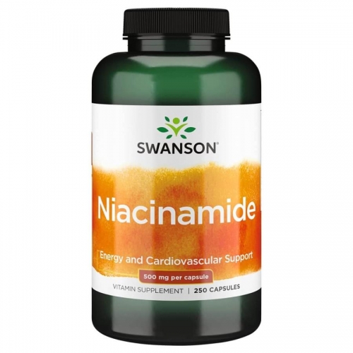 VITAMINA B3 (NIACINAMIDA) 500MG 250CPS